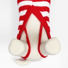 Свитер новогодний для животных «Ягодка», размер XL, ДС 40, ОШ 33, ОГ 50 см, красный, зелёный - Фото 5