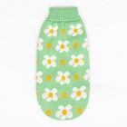 Свитер "Ромашки", размер XL (ДС 40, ОШ 33, ОГ 50 см), зелёный - Фото 7