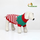 Свитер новогодний для животных «Ягодка», размер 2XL, ДС 41, ОШ 41, ОГ 36-60 см, красный, зелёный - Фото 1