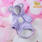 Кофта с капюшоном "Медвеженок", флис, размер XS (ДС 18, ОШ 20, ОГ 39 см), фиолетовая - Фото 1