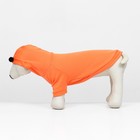 Кофта с капюшоном «Лисенок», размер M, ДС 25, ОШ 28, ОГ 40 см, оранжевая - Фото 5