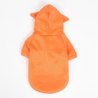 Кофта с капюшоном «Лисенок», размер M, ДС 25, ОШ 28, ОГ 40 см, оранжевая - Фото 10