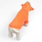 Кофта с капюшоном «Лисенок», размер XL, ДС 34, ОШ 38, ОШ 48 см, оранжевая - Фото 6