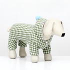 Комбинезон «Пудра», размер L (ДС 33 см, ОШ 37 см, ОГ 50 см) бежевый/зелёный - Фото 2