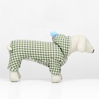 Комбинезон «Пудра», размер L (ДС 33 см, ОШ 37 см, ОГ 50 см) бежевый/зелёный - Фото 3