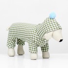 Комбинезон «Пудра», размер L (ДС 33 см, ОШ 37 см, ОГ 50 см) бежевый/зелёный - Фото 4