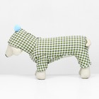 Комбинезон «Пудра», размер L (ДС 33 см, ОШ 37 см, ОГ 50 см) бежевый/зелёный - Фото 5