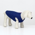 Куртка для собак "Nice", размер XS (ДС 20 см, ОШ 20 см, ОГ 28 см), синяя - фото 11525677