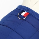 Куртка для собак "Nice", размер XS (ДС 20 см, ОШ 20 см, ОГ 28 см), синяя - Фото 4