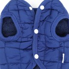 Куртка для собак "Nice", размер XS (ДС 20 см, ОШ 20 см, ОГ 28 см), синяя - Фото 9