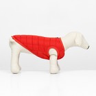 Куртка для собак "Nice", размер XS (ДС 20 см, ОШ 20 см, ОГ 28 см), красная - Фото 2