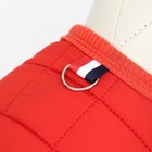 Куртка для собак "Nice", размер XS (ДС 20 см, ОШ 20 см, ОГ 28 см), красная - Фото 4