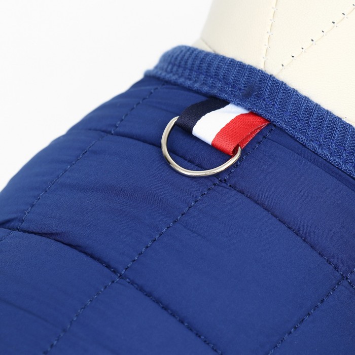 Куртка для собак "Nice", размер S (ДС 25 см, ОШ 25 см, ОГ 34 см), синяя