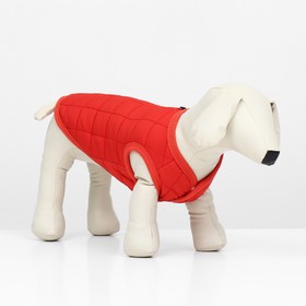 Куртка для собак "Nice", размер S (ДС 25 см, ОШ 25 см, ОГ 34 см), красная