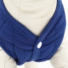 Куртка для собак "Nice", размер  XL (ДС 38 см, ОШ 38 см, ОГ 48 см), синяя - Фото 5
