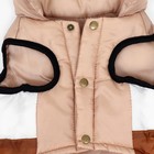 Куртка для собак "Шоколад", размер S (ДС 26, ОГ 38, ОШ 27), бежево-коричневая - фото 9539708