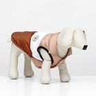 Куртка для собак "Шоколад", размер M (ДС 33, ОГ 46, ОШ 33), бежево-коричневая - фото 7855646
