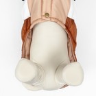 Куртка для собак "Шоколад", размер M (ДС 33, ОГ 46, ОШ 33), бежево-коричневая - фото 7855650