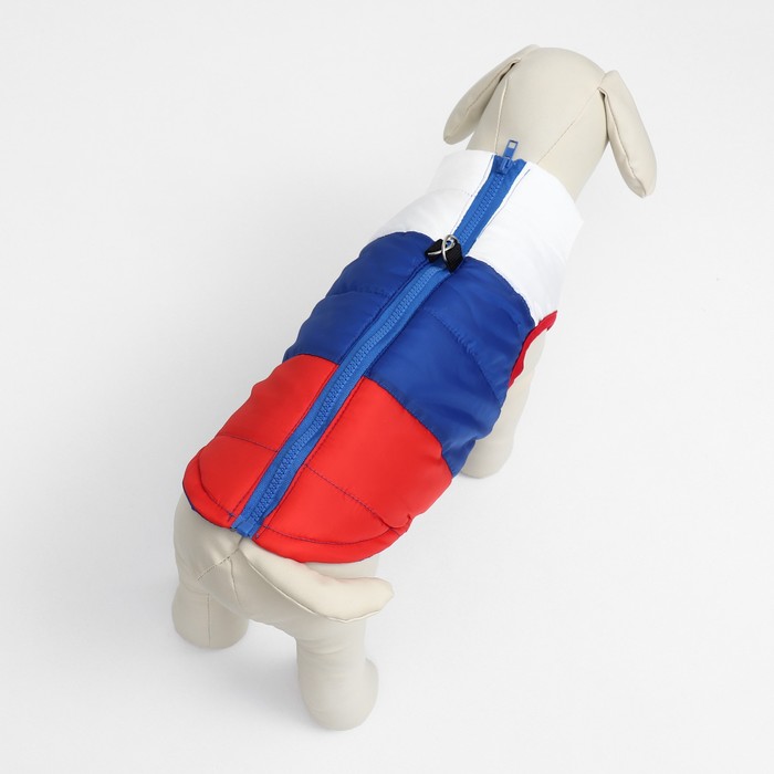 Куртка для собак "Патриот", размер XS (ДС 17, ОГ 31 см)