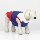 Куртка для собак "Патриот", размер S (ДС 22, ОГ 37 см) - фото 292961597