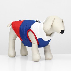 Куртка для собак "Патриот", размер M (ДС 28,ОГ 47 см)
