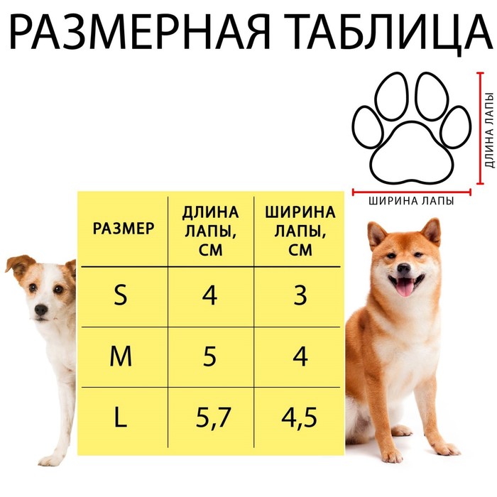 Ботинки "На прогулку", набор 4 шт, 3 размер, фиолетовые