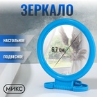Зеркало настольное, круглое, настенное, 8×13.5 см, (d=6.7 см), МИКС - Фото 1