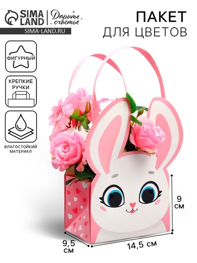 Переноски для цветов «Зайка», 14×10×9 см