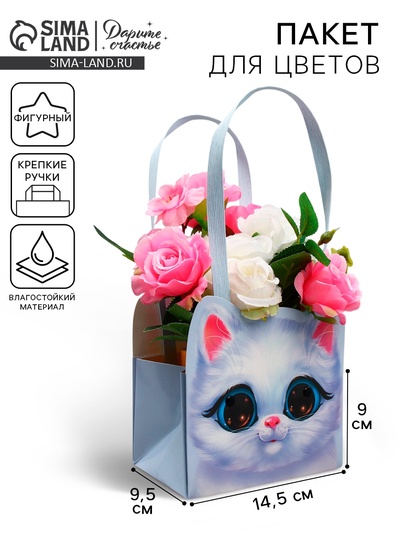 Переноски для цветов «Киса», 14×10×9 см