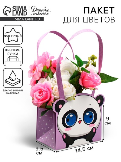 Переноски для цветов «Панда», 14×10×9 см