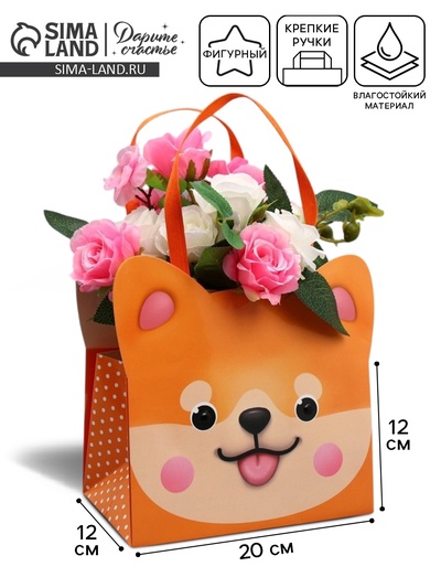 Переноски для цветов «Дружок», 20×12×12 см