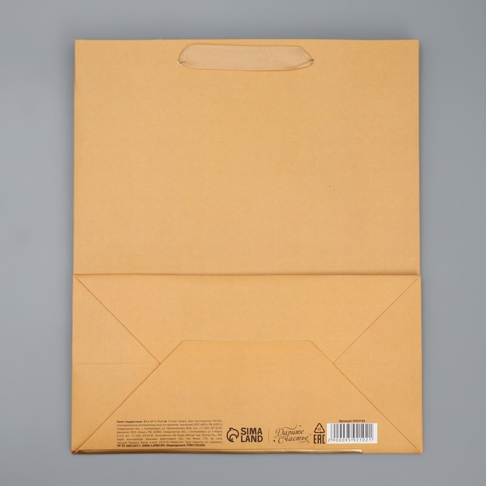 Пакет подарочный «С Днём рождения!», ML 23 × 27 × 11.5 см 9592102