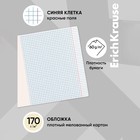 Тетрадь 12 листов в клетку, ErichKrause Ruler Hobby, обложка мелованный картон, блок офсет 100% белизна, МИКС (1 вид в спайке) 10162309 - фото 170322