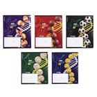 Тетрадь 24 листов в клетку ErichKrause "Sport DNA", обложка мелованный картон, блок офсет 100%, МИКС - фото 320504602