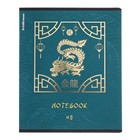 Тетрадь 48 листов в клетку ErichKrause "Драконы", матовая ламинация, блок офсет 100%, МИКС (комплект 5 шт) - фото 24268443