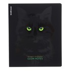 Тетрадь 48 листов в клетку ErichKrause "Gaze", ламинация soft-touch, блок офсет 100%, МИКС (комплект 5 шт) - фото 24268463