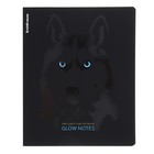 Тетрадь 48 листов в клетку ErichKrause "Gaze", ламинация soft-touch, блок офсет 100%, МИКС (комплект 5 шт) - фото 24268467