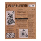 Тетрадь 48 листов в клетку, ErichKrause "Новости", обложка крафт-картон, блок офсет 100% белизна, МИКС (комплект 4 шт) - фото 24268499