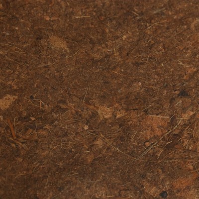 Субстрат кокосовый, универсальный, для террариумов и растений, в брикете, 7 л, 30% чипсы и 70% торф, Greengo