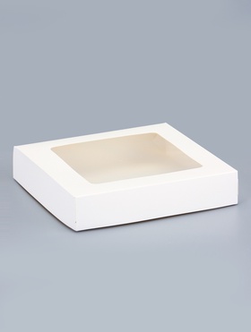 Контейнер навынос, с окном, белый, 20?20?4 см (комплект 20 шт)