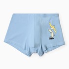 Трусы мужские боксеры, цвет голубой, размер 54 (XXL) - фото 23249955