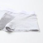Трусы мужские боксеры, цвет серый, размер 60 (5XL) 10144689