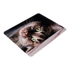 Коврик для мыши Perfeo Cat рис.12, 340x280x4 мм - фото 51487891 Коврик для мыши Perfeo Cat рис.12, 340x280x4 мм - фото 51487891