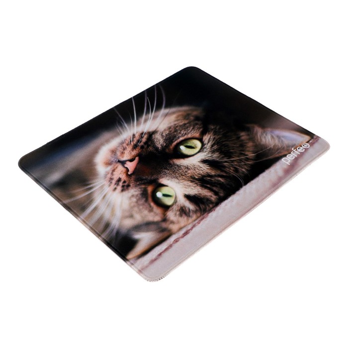 Коврик для мыши Perfeo Cat рис.12, 340x280x4 мм - фото 51487891 Коврик для мыши Perfeo Cat рис.12, 340x280x4 мм - фото 51487891