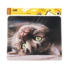Коврик для мыши Perfeo Cat рис.12, 340x280x4 мм - фото 51487893 Коврик для мыши Perfeo Cat рис.12, 340x280x4 мм - фото 51487893