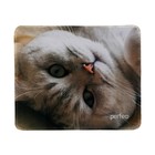 Коврик для мыши Perfeo Cat рис.13, 240x200x2 мм 10111545 - фото 11559486