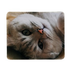 Коврик для мыши Perfeo Cat рис.13, 240x200x2 мм