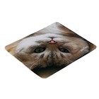 Коврик для мыши Perfeo Cat рис.13, 240x200x2 мм - фото 51487896 Коврик для мыши Perfeo Cat рис.13, 240x200x2 мм - фото 51487896