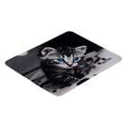 Коврик для мыши Perfeo Cat рис.14, 240x200x2 мм - фото 51487901 Коврик для мыши Perfeo Cat рис.14, 240x200x2 мм - фото 51487901