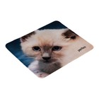 Коврик для мыши Perfeo Cat рис.18, 240x200x2 мм - фото 51487921 Коврик для мыши Perfeo Cat рис.18, 240x200x2 мм - фото 51487921